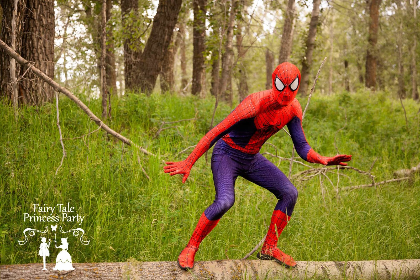 Spider hero making his great escape to a Calgary birthday party via a log.